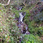 DSCN9064
