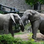 Zoos Wuppertal, Dortmund y Gelsenkirchen 01-10-09 239