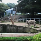 Zoos Wuppertal, Dortmund y Gelsenkirchen 01-10-09 240