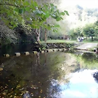 DSCN8275