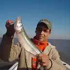 pesca y jaula 031