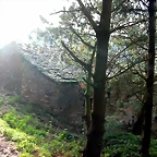 DSCN6257