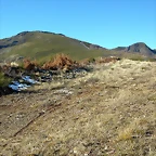 DSCN6837