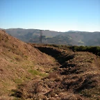 DSCN2261