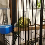 20180516_004514
