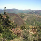 DSCF2512
