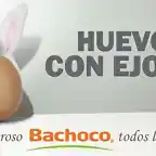 bachoco3