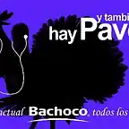 bb-60x40-hay-pavo