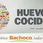 bachoco1