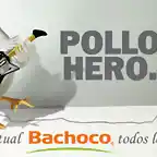 bachoco5