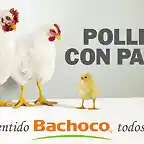 WEB-2400-CON-PAPAS