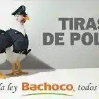 bachoco2