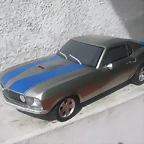 IMG_0881ford mustang,esc 117.