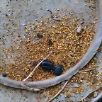 IMAG0172