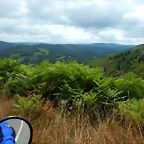 DSCN6588