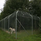 Le Parc des Felins agost 2010 201