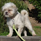 spencer1