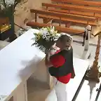 17, ofrenda de flores, marca