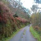 DSCN9187