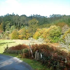 DSCN9193