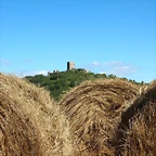 IMG_1022 (Copier)