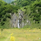 IMG_7667