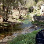 DSCN8392