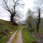 DSCN9682