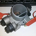 295513B71B26550CCDDB1B550CCBF3