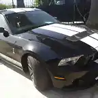 mustang shelby gt500 (3)