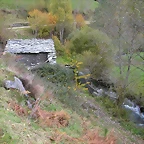 DSCN6019
