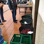 IMG_20180602_121936