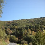 DSCN0042
