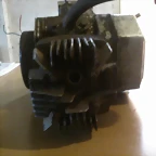 IMG00595