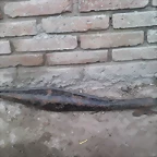 IMG00600