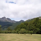 Image00006