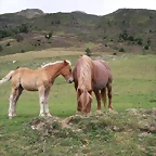 Image00007