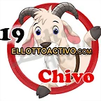 chivo