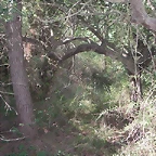 Sueras 023