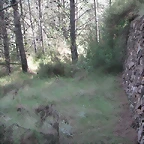 Sueras 021