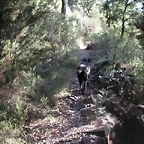 Sueras 003