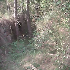 Sueras 022