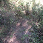 Sueras 027