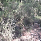 Sueras 024