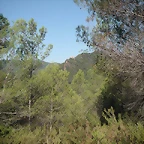 Sueras 013