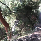 Sueras 005