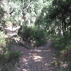 Sueras 007