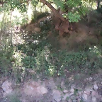 Sueras 029