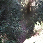 Sueras 009