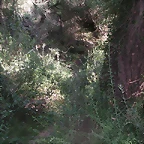 Sueras 010